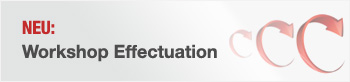 Neuer Workshop: Effectuation